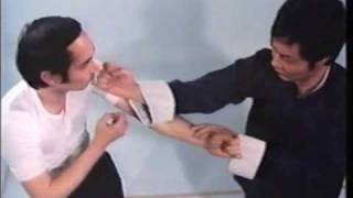 Wing Chun Basic Techniques part 1 [upl. by Mikihisa956]