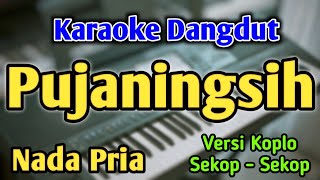 PUJANINGSIH  KARAOKE  NADA PRIA COWOK  Versi Koplo  Silvy Kumalasari  Wisnu Jaya [upl. by Nevile]