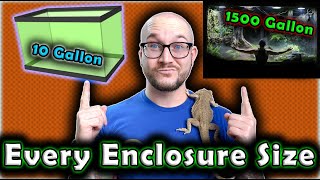 Reptile Room Tour 2024 Meet All Of My Reptiles [upl. by Doherty]