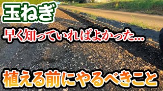 【玉ねぎ】植える前にコレ絶対やってください。めちゃくちゃ楽になります [upl. by Ahsiugal]