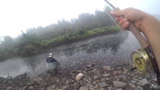 Hooking and Landing a Large Atlantic Salmon in the MIramichi [upl. by Dehnel884]