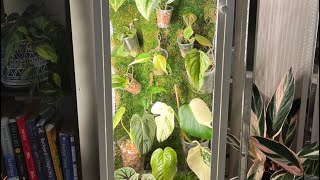 IKEA greenhouse cabinet tutorial for under 100 [upl. by Angil]