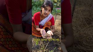 🏡Amar gaon khn 🥹❤️ villagelifestyle shortvideo [upl. by Larrisa]