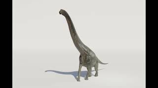 Giraffatitan brancai Walk Cycle  WIP Test [upl. by Mihe]