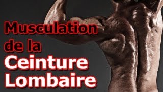 Exercice de Musculation de la Ceinture Lombaire [upl. by Mot211]