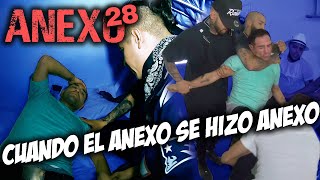 Anexo 28 │ Christian Meza [upl. by Primalia]