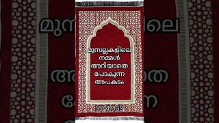 മുസല്ലകളിൽ ശ്രദ്ധിക്കുകshortsfeed trending ytviral islam prayer namaz shortsshortytshorts [upl. by Adnana]