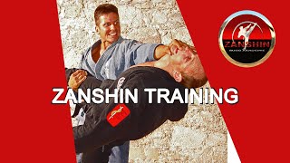 Zanshin Trailer Training [upl. by Rhynd]