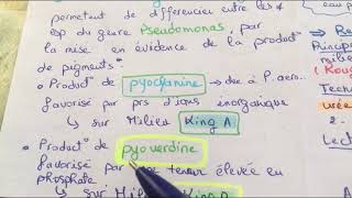 Tp systématique  famille des pseudomonadaceae  L3 microbiologie  🏨🧪 [upl. by Aicilaana]