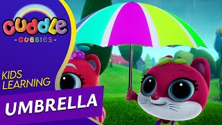 UMBRELLA  CUDDLE CUBBIES  LEARN AND FUN WITH CUTE CUBBIES  CuddleCubbies [upl. by Monteith]