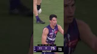 Fremantle Collingwood 2024 DRAW Theme Song afl collingwood fremantle draw [upl. by Nostets]