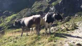 Philosophische Bildwanderung Franz Senn Hütte Neustift in Tirol Stubaital Österreich Glückliche [upl. by Hgieliak]