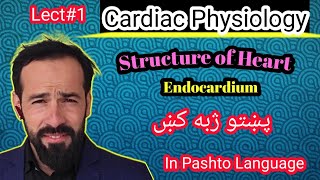 Le1 Physiology of Heart  Structure of heart  Layers of Heart  Structure of Endocardium  Part1 [upl. by Edme]