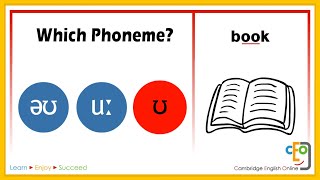 Which Phoneme Part 3 [upl. by Hedwig]