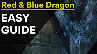 Demons Souls Red amp Blue Dragon Easy Boss Guide [upl. by Aguste]