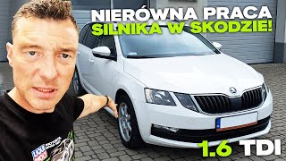 WSTĘPNA DIAGNOZA NIERÓWNOMIERNEJ PRACY 16 TDI [upl. by Kcid]