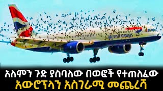 አለምን ጉድ ያስባለው በወፎች የተጠለፈው አውሮፕላን አስገራሚ መጨረሻ [upl. by Hadeis524]