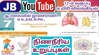 12th BIO Zoology7Health and DiseasesLYMPHOID ORGANS TM [upl. by Walford]