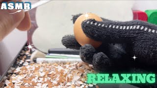 ASMR peel the shiny eggs 3 asmr relaxing [upl. by La]