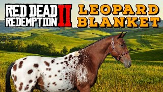 Horse Hunting  Appaloosa Leopard Blanket Best Horses in Red Dead Redemption 2 [upl. by Clorinda]