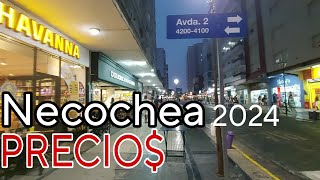 Precios NECOCHEA  Cuanto traer para Gastar Vacaciones 2024 recorriendo [upl. by Payson394]