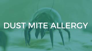 Dust Mite Allergy Symptoms and Treatments [upl. by Wharton]