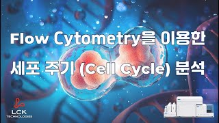 LCK Flow Cytometry를 이용한 세포주기 Cell cycle 분석 [upl. by Seroled]