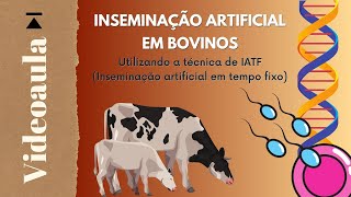 Inseminação Artificial em Bovinos  videoaula ATER a Distância [upl. by Marva357]