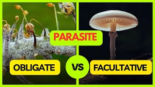 Obligate Parasite  Facultative Parasite  Facultative Saprophyte  Plant Pathology [upl. by Torrey]