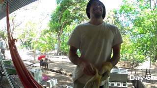 WWOOFing in Costa Rica [upl. by Ardekal]