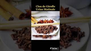 astuce très efficace pour le clou de girofle et lurine matinale [upl. by Eikcaj]