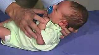 Moro Reflex Integration Pediatric Occupational Therapy [upl. by Htial950]