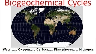 Biogeochemical Cycles honors biology updated [upl. by Ahsikel716]