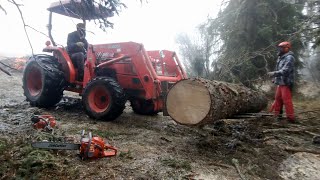 Felling Trees After a Windstorm using the JonCutter G5800 and its Baby Brother the JonCutter G2500 [upl. by Selia]