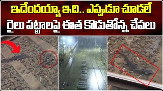 Cat Fishes Swimming On Railway Tracks  Waterlogging Heavy Rains In Mumbai  Samayam Telugu [upl. by Schonfield889]