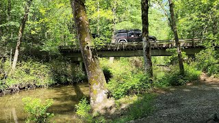 Exploring Warwoman Wildlife Management Area  A scenic trail riding experience [upl. by Nanoc]