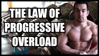 Progressive Overload The Key To Muscle Growth [upl. by Jacklyn]