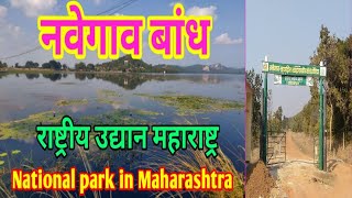 नवेगाव बांध राष्ट्रीय उद्यान महाराष्ट्र  Navegaon Bandh National Park Maharashtra [upl. by French554]