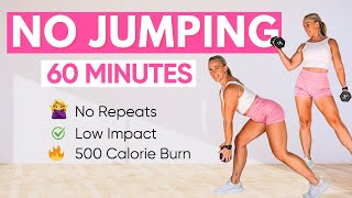 60 MIN LOW IMPACT FULL BODY WORKOUT  No Jump  No Repeats [upl. by Shani]