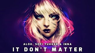 Alok Sofi Tukker amp INNA  It Dont Matter [upl. by Nyrhtac11]