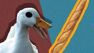 Feeding Baguette to Ducksmp4 [upl. by Rubens821]