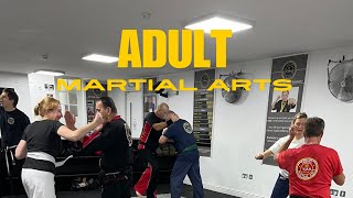 Adult Martial Arts Classes at Tring Martial Arts Academy 2024 [upl. by Esela]