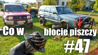 Co w błocie piszczy 47 Terenwizja [upl. by Ahsemot630]