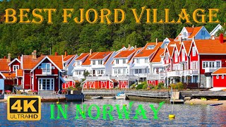 The Best Fjord Village in Norway  Norwegian Expedition 1 Part 14 NEW Real 4K Movie [upl. by Wildermuth]