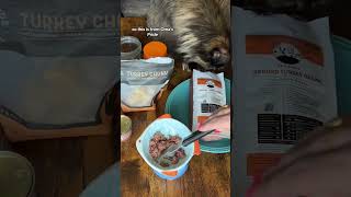 Raw Cat Food  Feed My Maine Coon Cat  Raw Cat Food Diet  Maine Coon shorts cat catfood [upl. by Alema666]