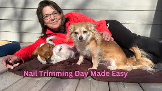 Transform Your Dogs Nail Cutting Routine [upl. by Griffiths101]