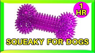 Squeaky toy sounds 1 hour dogs [upl. by Hajan]