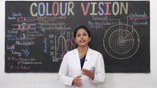 Live Class ∣ Colour Vision  11 am Today [upl. by Worth859]