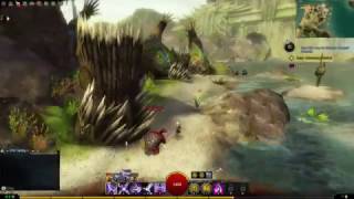 GW2  Point of Interest  Morgatl Grounds  Caledon Forest [upl. by Lyrehc477]