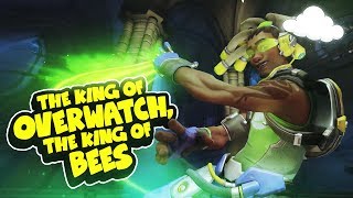 The KING of OVERWATCH The KING of BEES [upl. by Pickett]